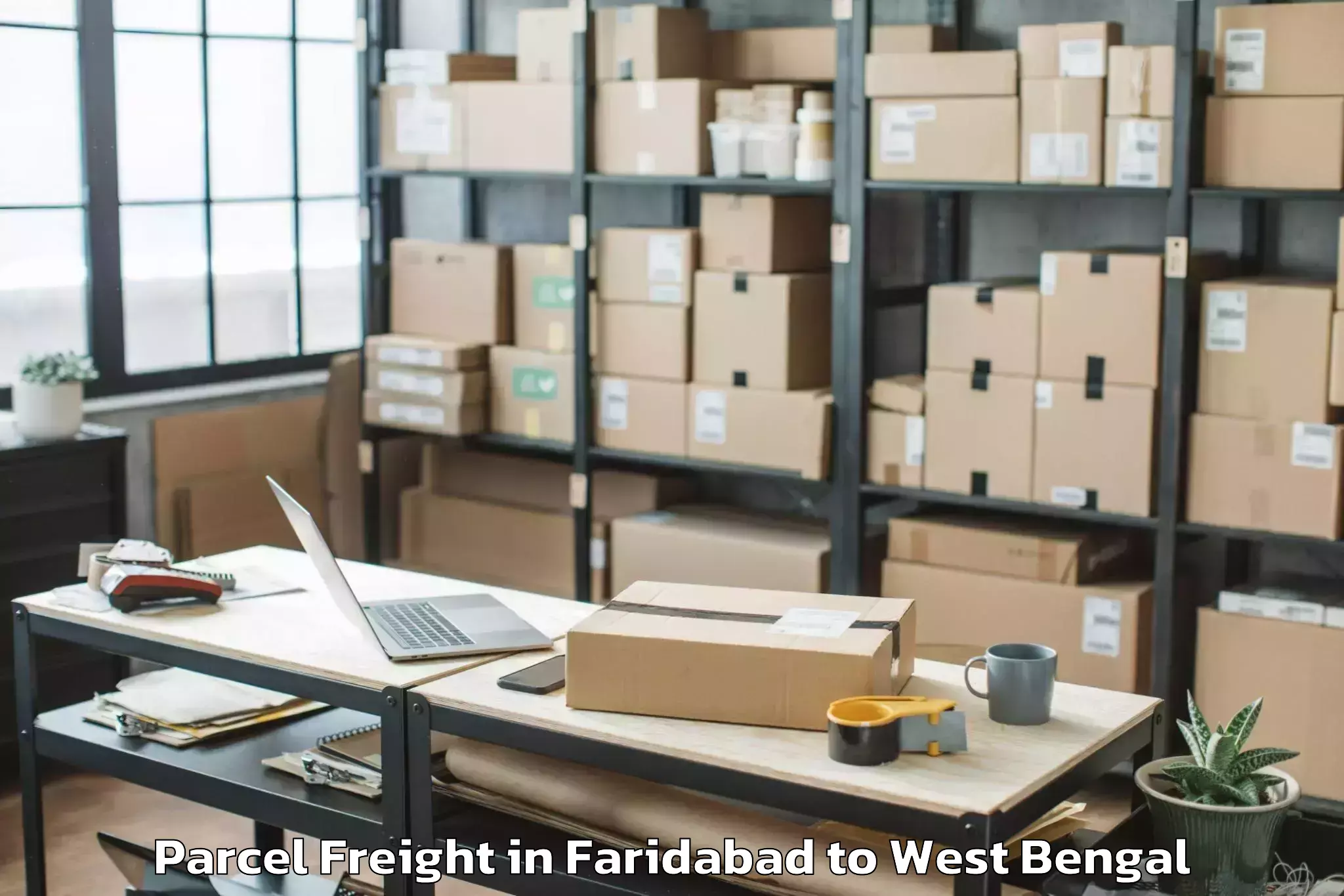 Quality Faridabad to West Bengal University Of Heal Parcel Freight